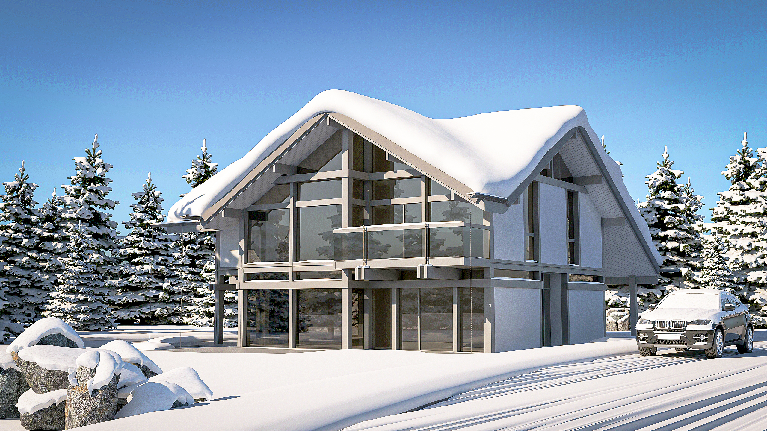 Winter House
